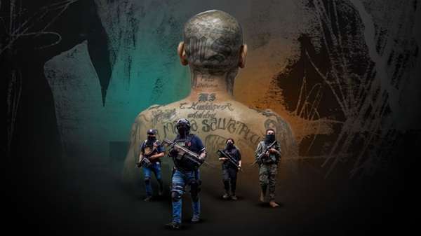 Tras hechos ocurridos en la frontera sur de México, la identificación de grupos delictivos en el área reveló integración de pandillas con cárteles mexicanos
