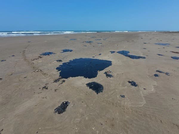 El grupo interdisciplinario que investiga el derrame de petróleo en el Golfo de México será permanente y trabajará en sistemas de alertamiento para conocer “con mayor detalle cuando hay una fuga de este tipo”, informó la presidenta Claudia Sheinbaum Pardo.