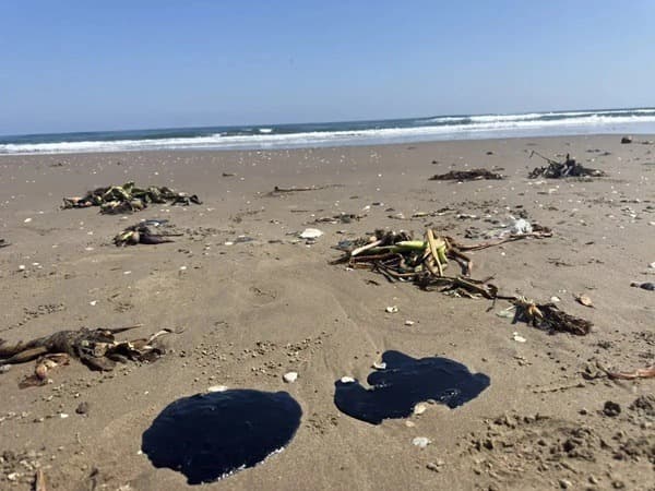 Golfo de México-Limpieza Una vez detectado el origen del hidrocarburo, se procederá conforme a la legislación ambiental vigente para determinar responsabilidades y garantizar la reparación del daño ambiental.
