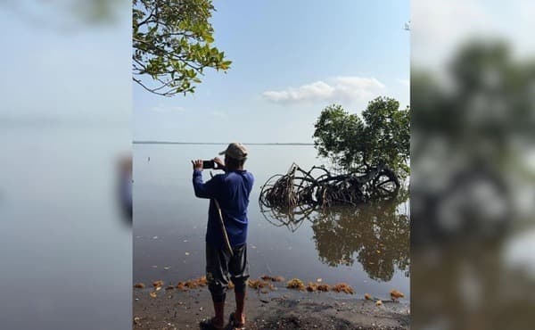 Biólogos-Pajapan Indicó que, aunque la contaminación en la laguna es visible a simple vista, todavía no se cuenta con estudios técnicos que permitan conocer con precisión cuáles son los niveles de contaminantes presentes en el agua y en las especies que ahí habitan.